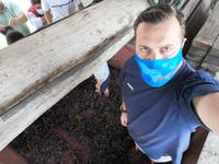 IMG_20200912_142441