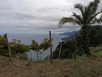 IMG_20200912_143604