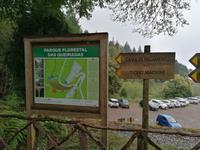 IMG_20200912_150841