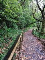 IMG_20200912_151301