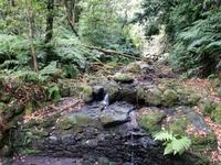 IMG_20200912_151714