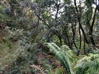 IMG_20200912_151748