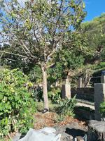IMG_20200913_100202