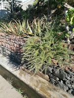 IMG_20200913_100359
