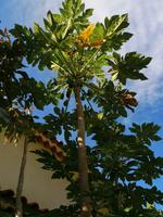 IMG_20200913_100847