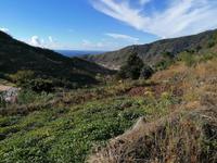 IMG_20200913_100952