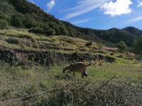 IMG_20200913_103338