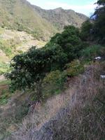 IMG_20200913_111255