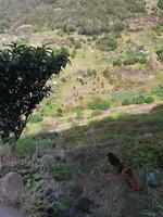 IMG_20200913_111613