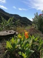 IMG_20200913_114621