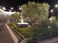 IMG_20200913_212314