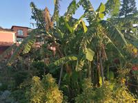IMG_20200914_082251