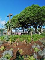 IMG_20200914_092911