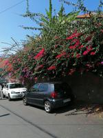 IMG_20200914_131611