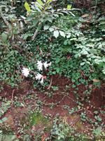 IMG_20200914_135028