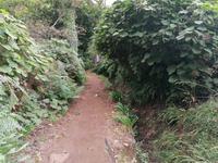 IMG_20200914_140200