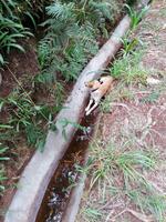 IMG_20200914_141003
