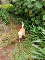 IMG_20200914_142125