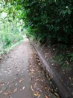 IMG_20200914_143537