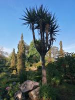 IMG_20200915_094021