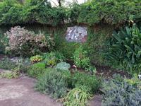 IMG_20200915_094045