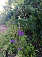 IMG_20200915_094537