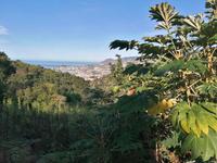 IMG_20200915_094944
