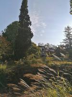IMG_20200915_095210