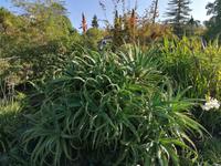 IMG_20200915_095739