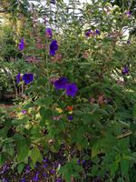 IMG_20200915_095845