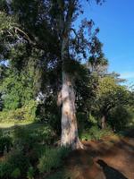 IMG_20200915_100046