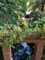 IMG_20200915_100345