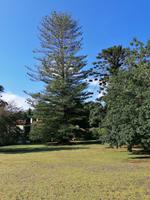 IMG_20200915_100552