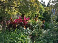 IMG_20200915_101159