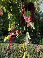 IMG_20200915_101415