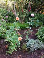 IMG_20200915_101442