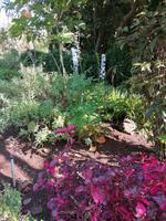 IMG_20200915_101527