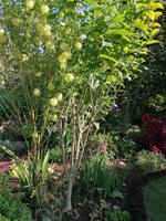 IMG_20200915_101736