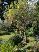 IMG_20200915_101915