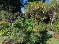 IMG_20200915_102033