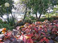 IMG_20200915_122908