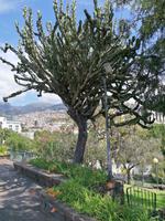 IMG_20200915_123348