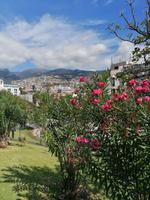 IMG_20200915_123450