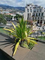 IMG_20200915_123510