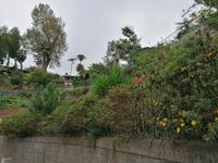 IMG_20200915_143633