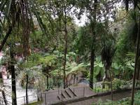 IMG_20200915_143741