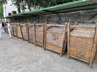 IMG_20200915_143938