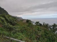 IMG_20200916_145811