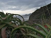 IMG_20200916_171047