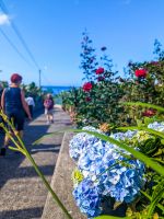 Kleine Wanderung zwischen den Bananenplantagen in Madalena do Mar/Madeira